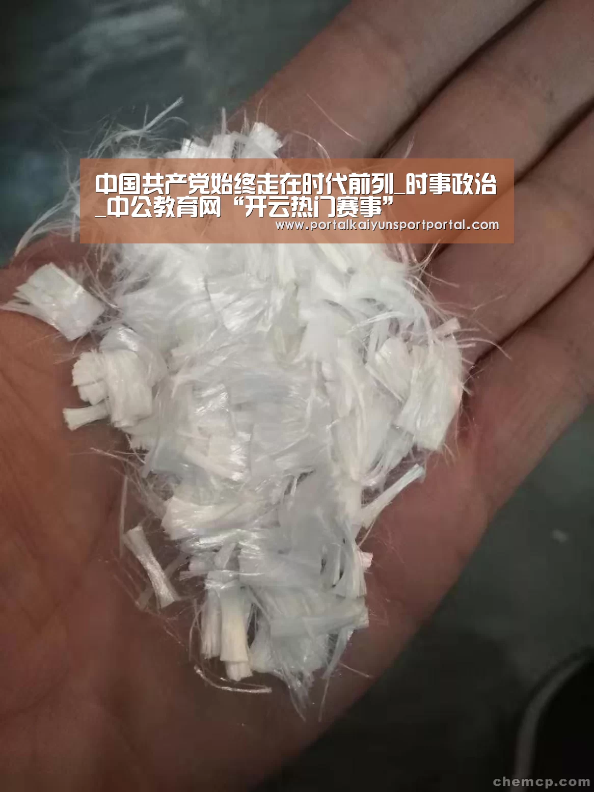 中国共产党始终走在时代前列_时事政治_中公教育网“开云热门赛事”(图1) 开云热门赛事